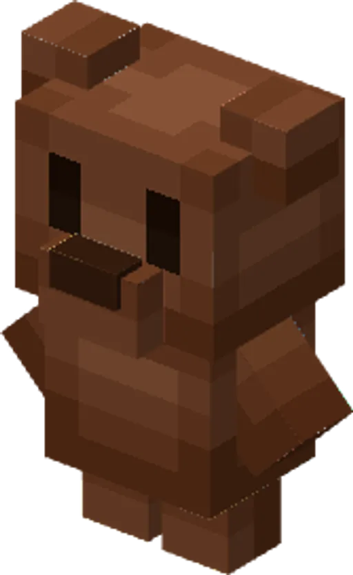 A Bear you can wear on your back