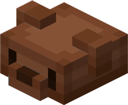 A Bear you can wear on your head